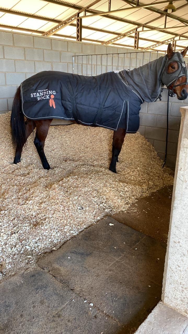 Alternative Text missing