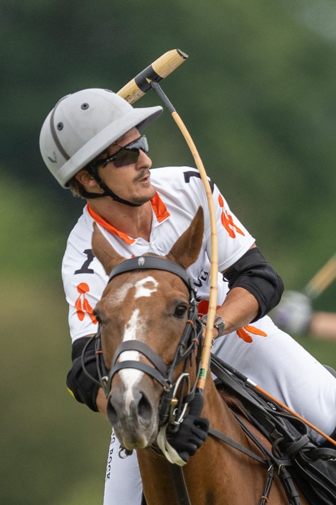 Alternative Text missing