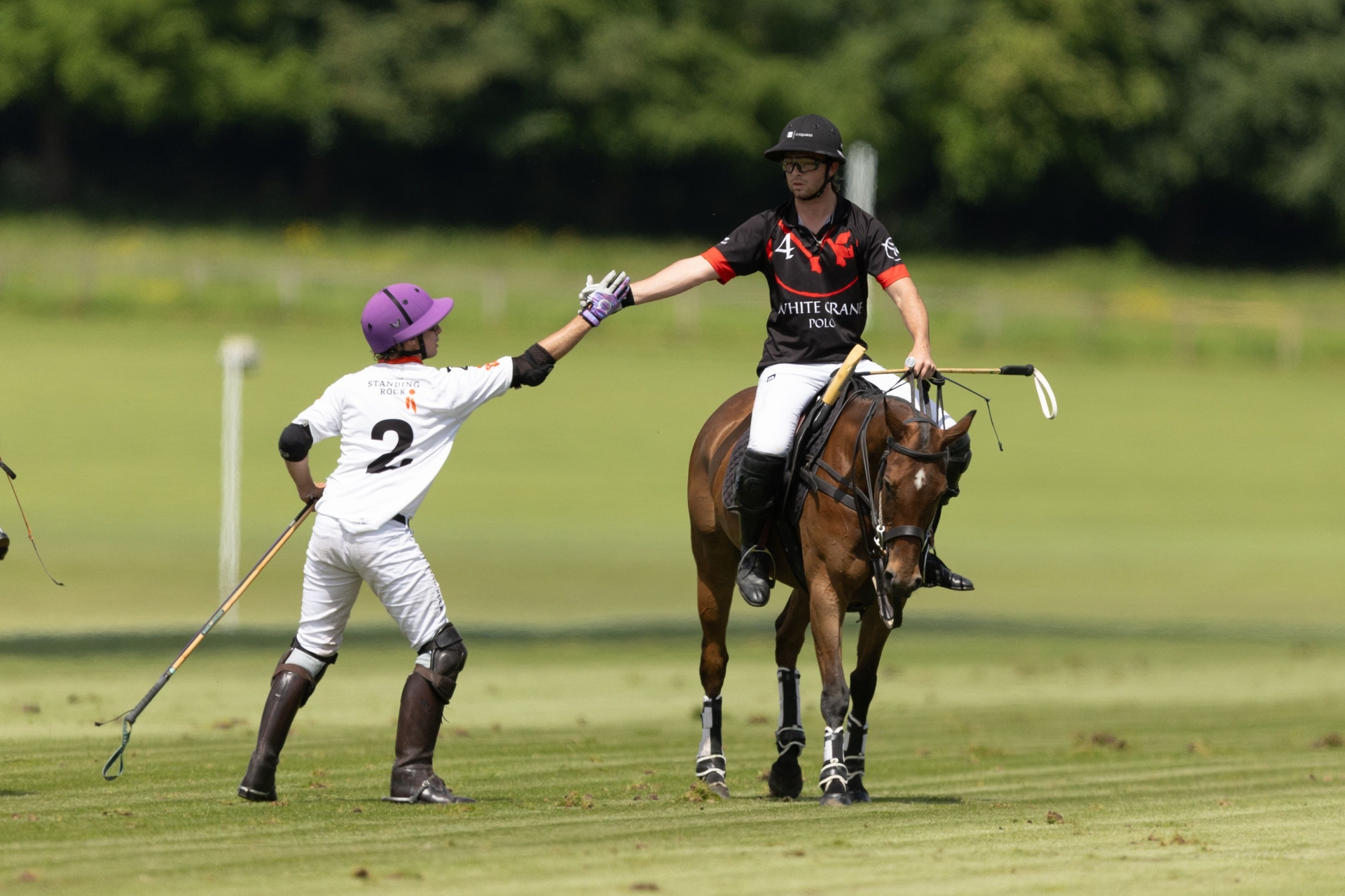 Alternative Text missing